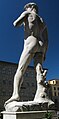 David at Palazzo Vecchio