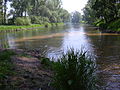 Confluence of the Blšanka and Ohře rivers near Trnovany