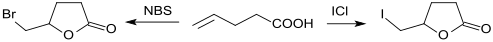 Halolactonisierung von 4-Pentensäure.svg