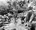 Marines from 1st Marine Division ford a muddy jungle steam in the South Pacific during World War II - Okinawa.