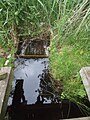 This small weir is the arguable source of the river.