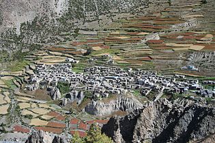 View of the village of Manang on the hillside. Note the cultivation fields.