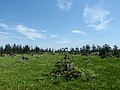 Matsuyama Grassland びふか松山湿原