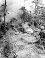 Marines use a flamethrower to "clean" holes during the Battle of Okinawa, 1945.