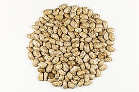 Pinto Beans Seeds.jpg