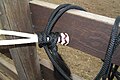 Detail of mecate reins attached to a bosal