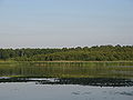 panorama na staw Brzeziniak