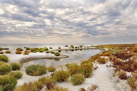 Kinburn sandbar, Ochakiv Raion, Mykolaiv Oblast, Ukraine Author: Анна Стрижекінь