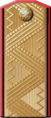 «General of the naval artillery» (1904—1917)