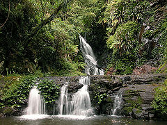 Elabana Falls, Lamington National Park