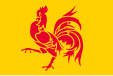 Flag of Wallonia, Belgium