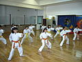 Thumbnail for File:IDENAP Karate.JPG