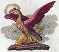 The Phoenix