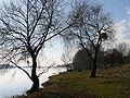 Rive de Loire entre Orléans et Blois