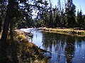 Firehole Below Biscuit Basin Meadows