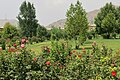 Gardens of Babur in 2013