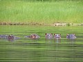 Cahora Bassa, Mozambique