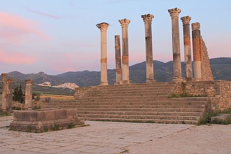 Roman column, Volubilis by Masmnet