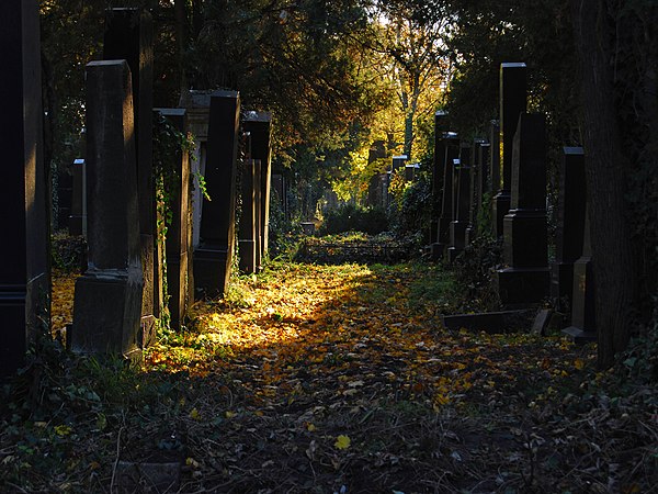 8: Old Jewish Cemetery, part of the Central Cemetery in Vienna (Wien). User:HeinzLW