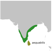 CaprimulgusAtripennisMap.svg