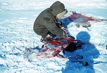 Caribou butchering Nygren.jpg