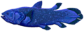 Coelacanth public domain