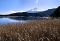 View from the Five Lakes