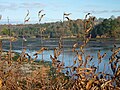 Paysage de l'Anse Saint-Laurent 1