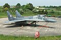 MiG-29A #77 of Polish Air Force, markings of 1st Tactical Sqd., Royal Danish Air Force Air Show 2006. FSN Skrydstrup