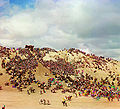 Horse racing in Samarkand