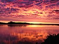 * Nomination It is a sunset view at Lake St Clair, Tasmania. The still water makes it a paradise as people can enjoy low light photography to its peak. By User:Dwaipayanbasu85 --Piotr Bart 17:32, 29 March 2019 (UTC) * Decline  Oppose Overprocessed --Ermell 20:48, 29 March 2019 (UTC)