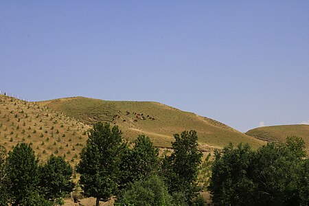 103. Zaamin National Park author - Humoyun Mehridinov