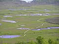 Uryunuma Wetland 雨竜沼湿原