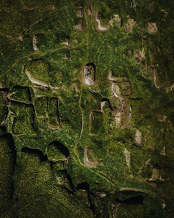 Kostivere Karst field in Ordovician limestone. Photo by Peeter Paaver