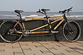 Bamboo tandem bicycle