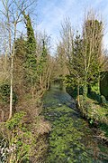 Beaurainville - Rivière-3.jpg