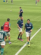 Palmeiras-bragantino-fev2023-01.jpg