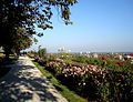 Blick vom Schlossgarten in die Neustadt südlich der Amper