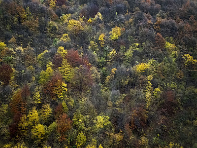 Kucaj mountains. Author: Milos Krstic