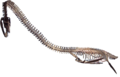 Elasmosaurus, National marine reptile of America