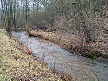 Lohrbach bei Neuhütten.JPG