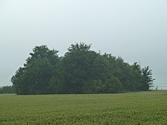 Remicourt-Tumulus van Noville.JPG