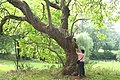 in Louvignies castle park, Belgium