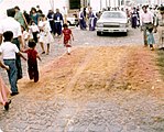 English: Carpet after procession passes over Español: Restos de una alfombra tras el paso procesional