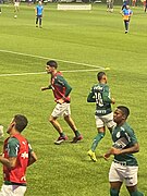 Palmeiras-bragantino-fev2023-09.jpg