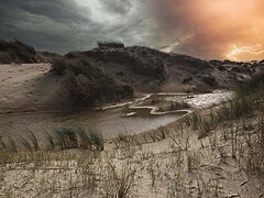 De Hors at Dunes of Texel National Park