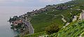 English: Vineyards of Saint-Saphorin with village Rivaz from Saint-Saphorin