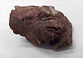 Red radiolarite