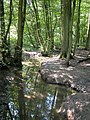 Naturschutzgebiet im Rumbachtal