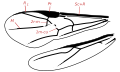 Category:Diagrams of insect wings, Category:Insect wings, Wing (insects)